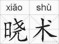 晓术的拼音