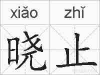 晓止的拼音
