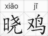 晓鸡的拼音