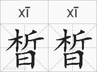 晳晳的拼音