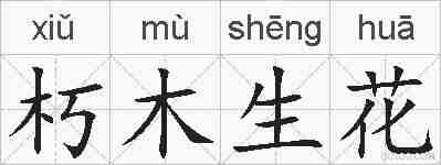 朽木生花的拼音
