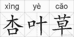 杏叶草的拼音