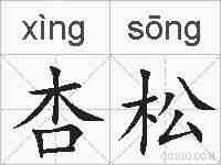 杏松的拼音