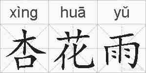 杏花雨的拼音