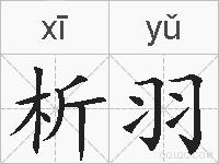 析羽的拼音