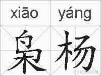 枭杨的拼音