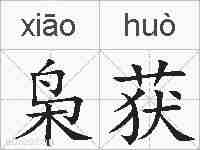 枭获的拼音