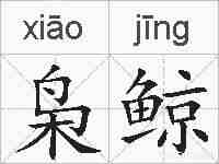 枭鲸的拼音