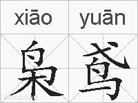 枭鸢的拼音