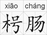 枵肠的拼音