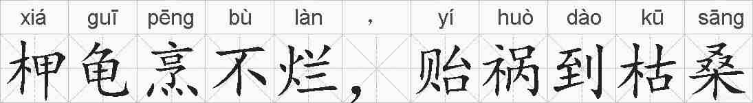 柙龟烹不烂，贻祸到枯桑的拼音