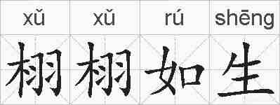 栩栩如生的拼音