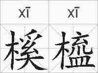 榽橀的拼音