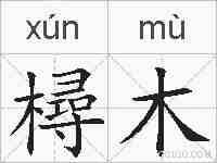 樳木的拼音