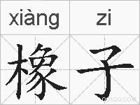 橡子的拼音