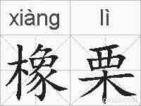 橡栗的拼音