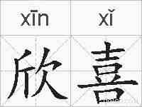 欣喜的拼音