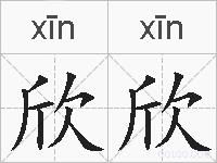 欣欣的拼音