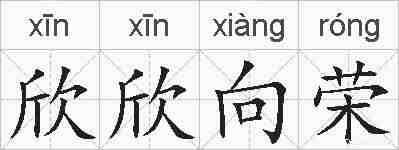 欣欣向荣的拼音