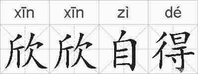 欣欣自得的拼音