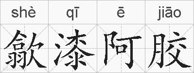 歙漆阿胶的拼音