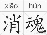 消魂的拼音