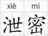 泄密的拼音