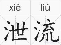 泄流的拼音