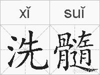 洗髓的拼音