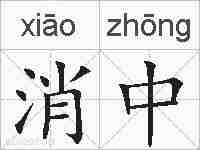 消中的拼音