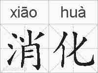 消化的拼音