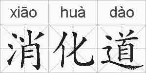 消化道的拼音