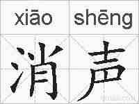 消声的拼音