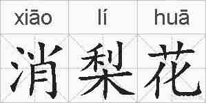 消梨花的拼音