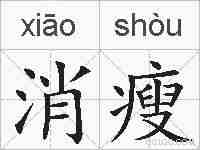 消瘦的拼音
