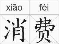消费的拼音