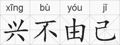 兴不由己的拼音