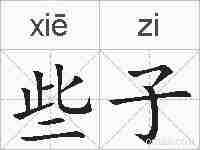 些子的拼音