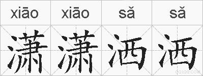 潇潇洒洒的拼音