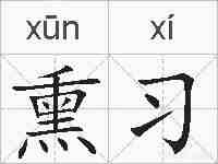 熏习的拼音