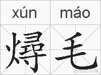 燖毛的拼音