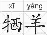 牺羊的拼音