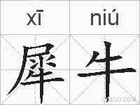 犀牛的拼音