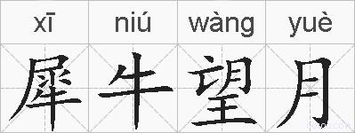 犀牛望月的拼音