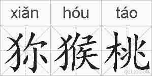 狝猴桃的拼音