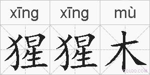 猩猩木的拼音