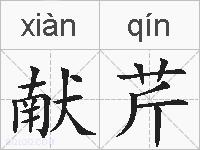 献芹的拼音