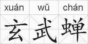 玄武蝉的拼音