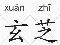玄芝的拼音