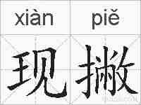 现撇的拼音